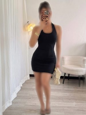 پیراهن دور گردنی بیسیک کبریتی کشی کد 3099